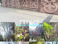 -木塔寺遗址生态公园