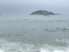 -傅家庄公园