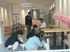 大堂-绒爪撸猫下午茶·猫咖