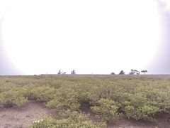 -北海金海湾红树林生态旅游区