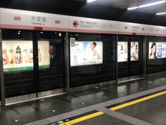 -大望路(地铁站)