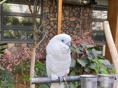 -南宫五洲植物乐园