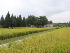 -北坞公园