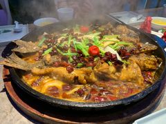 -老板恋上鱼(恒隆广场店)