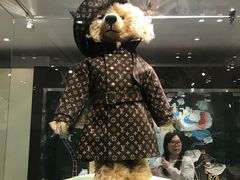 -济州岛泰迪熊博物馆