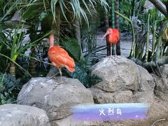 -海合安武汉极地海洋公园