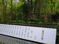 -鹿野苑石刻艺术博物馆