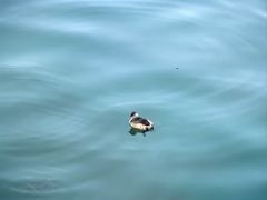 -深圳湾万象城(南山店)