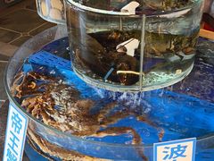 -乔家小院•非遗驴肉•青岛菜(滨河路店)