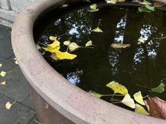-红螺寺