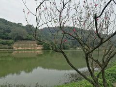 -南国桃园旅游度假区