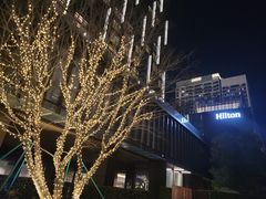 -深圳国际会展中心希尔顿酒店(前海华发冰雪世界店)