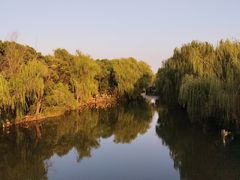 -同里国家湿地公园