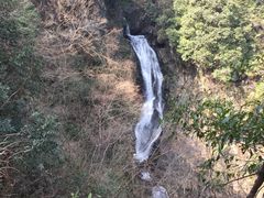 -石台牯牛降景区