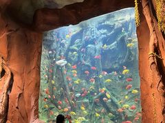 -杭州开元森泊度假乐园