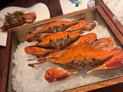 -Mr.Fish鱼鲜生海鲜放题(高德置地冬广场店)