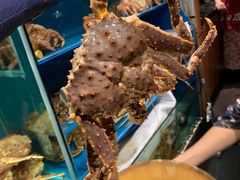 -蟹田居·活蟹料理(东城店)