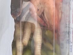 -品鲜村农家菜·阳澄湖大闸蟹(总店)