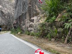 -红山村