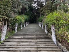 -铁山坪森林公园