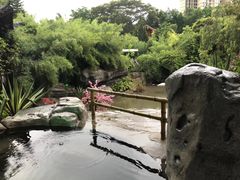 -河源客天下-温泉小镇