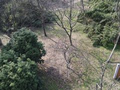 -梁鸿国家湿地公园