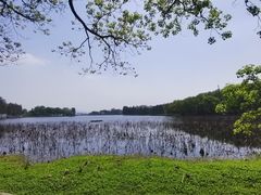 -东湖听涛景区