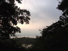 iphone_upload_pic-上海市保健医疗中心(华东疗养院)
