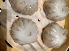 -高第街56号融合餐厅(振华五星百货店)