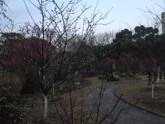 -鲁迅公园
