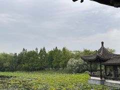 -高子水居