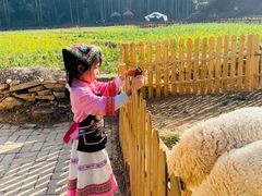 -高荡千年布依古寨旅游景区