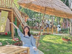 -十亩森林