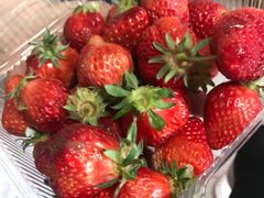 -杨柳青园艺科技博览园