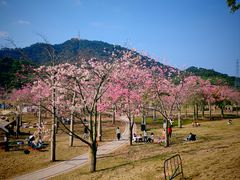 -风云岭森林公园