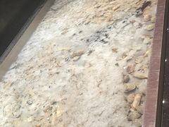 -钱小奴创意自助餐厅·原切谷饲安格斯畅吃(苏州昆山招商花园城店)