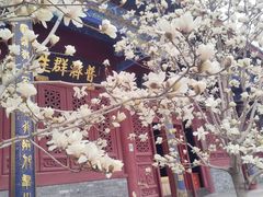 -天津大悲禅院