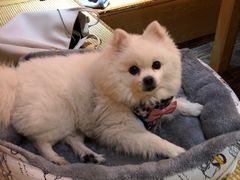 -伽利略剧本探案馆(国贸店)