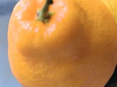 -肥三土菜馆(五四广场店)