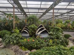 -南宫五洲植物乐园