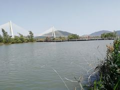 -芒洲湿地公园