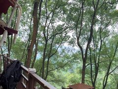 -巴倒烫陆派火锅山庄(南山总店)
