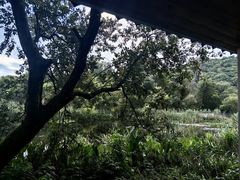 -西湖风景区-江洋畈生态公园