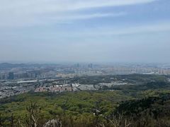 -紫金山山顶公园