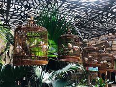 -杭州开元森泊度假乐园