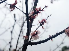 -堤角公园