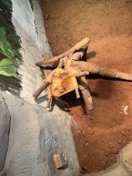 -Zoolung Zoolung动物主题公园(海信广场店)