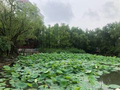 -温都水城·水梦奇缘
