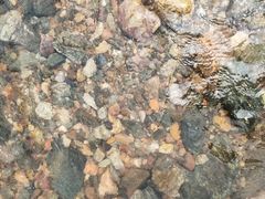 -白河湾生态旅游一条川