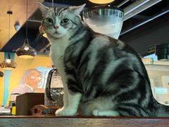 -咖法森林·咖啡  酒吧(天河店)